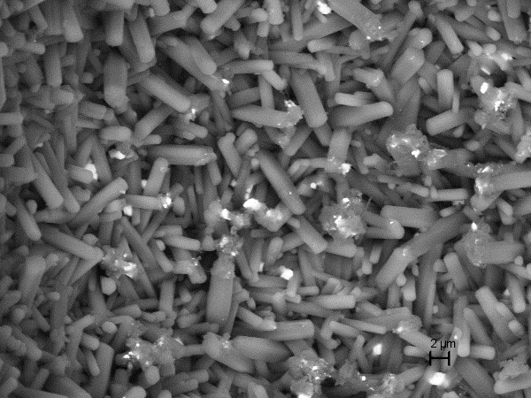 先进陶瓷与成型技术科研团队 湖南工业大学材料与先进制造学院